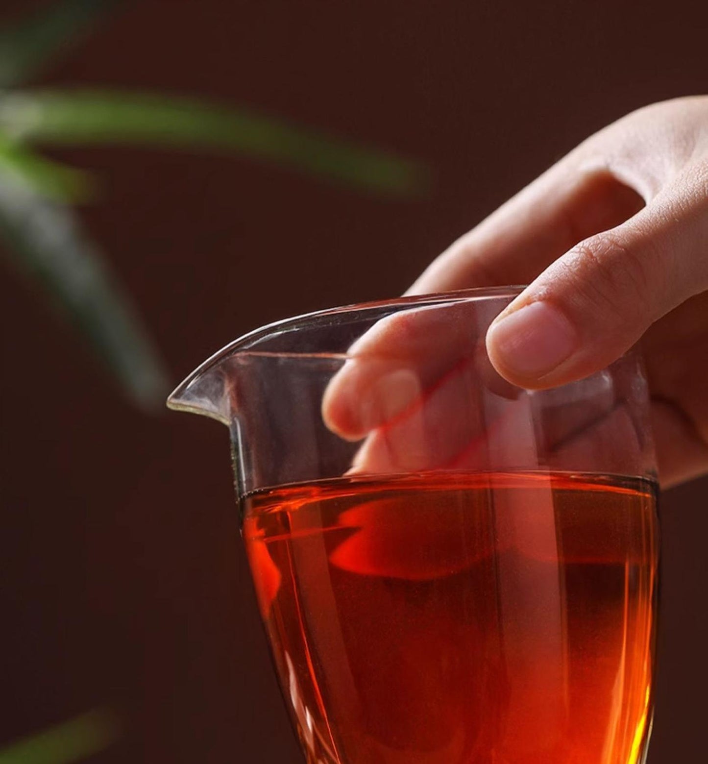 Citrus Pu-erh Tea(Basic packaging)